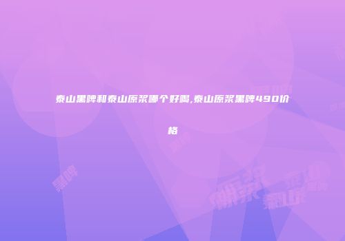 泰山黑啤和泰山原浆哪个好喝,泰山原浆黑啤490价格