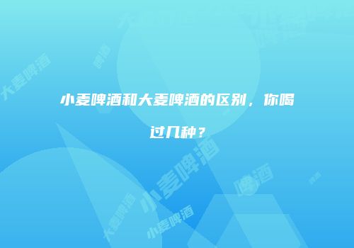 小麦啤酒和大麦啤酒的区别，你喝过几种？
