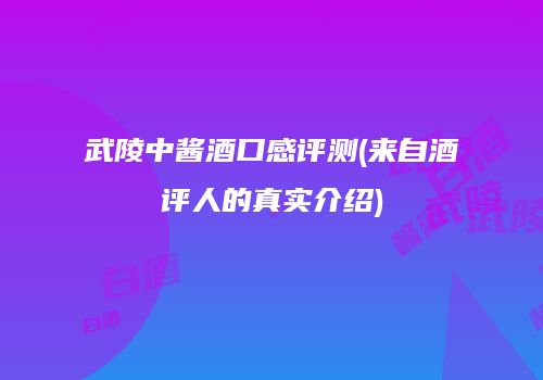 武陵中酱酒口感评测(来自酒评人的真实介绍)