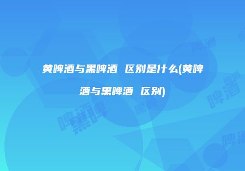 黄啤酒与黑啤酒 区别是什么(黄啤酒与黑啤酒 区别)