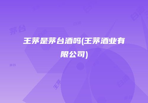王茅是茅台酒吗(王茅酒业有限公司)