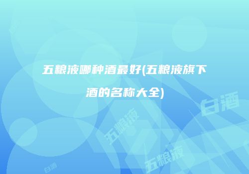 五粮液哪种酒最好(五粮液旗下酒的名称大全)