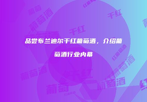 品尝布兰迪尔干红葡萄酒，介绍葡萄酒行业内幕