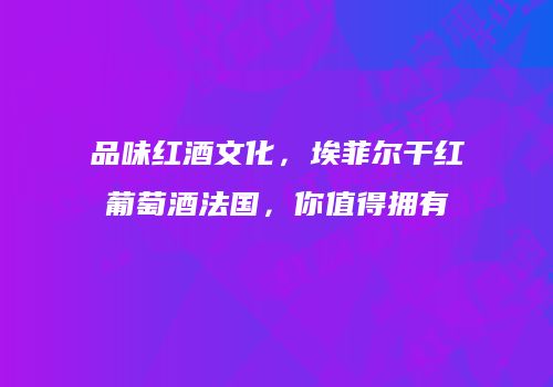 品味红酒文化，埃菲尔干红葡萄酒法国，你值得拥有