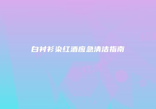 白衬衫染红酒应急清洁指南