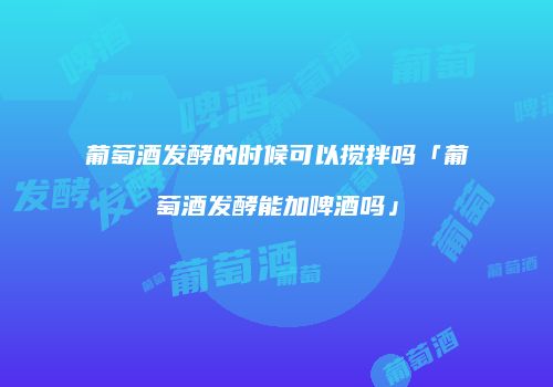葡萄酒发酵的时候可以搅拌吗「葡萄酒发酵能加啤酒吗」