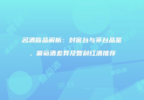 名酒盲品解析：封窖台与茅台品鉴，葡萄酒差异及智利红酒推荐