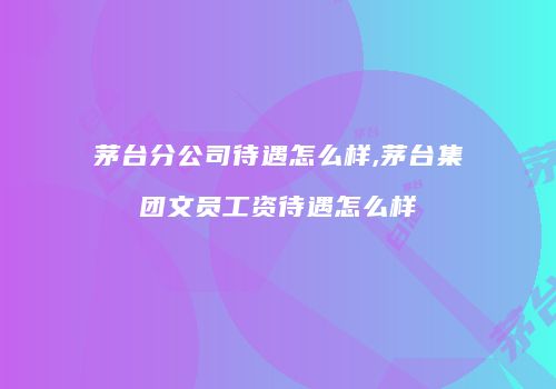 茅台分公司待遇怎么样,茅台集团文员工资待遇怎么样