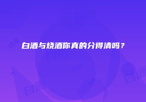 白酒与烧酒你真的分得清吗？