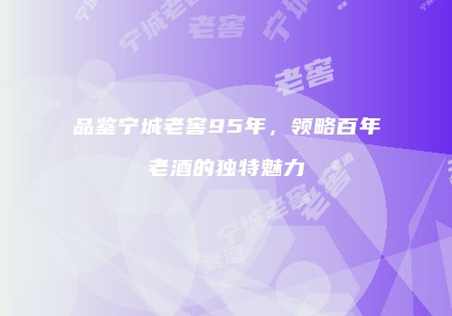 品鉴宁城老窖95年，领略百年老酒的独特魅力