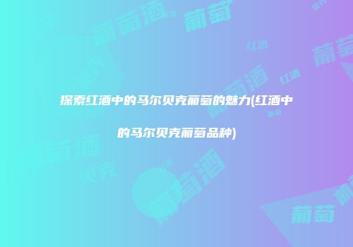 探索红酒中的马尔贝克葡萄的魅力(红酒中的马尔贝克葡萄品种)