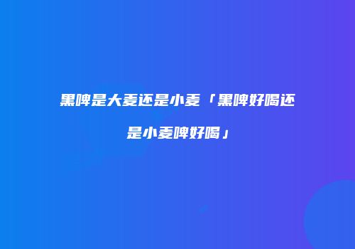 黑啤是大麦还是小麦「黑啤好喝还是小麦啤好喝」