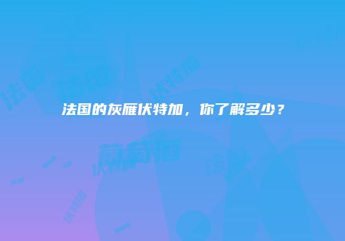法国的灰雁伏特加，你了解多少？