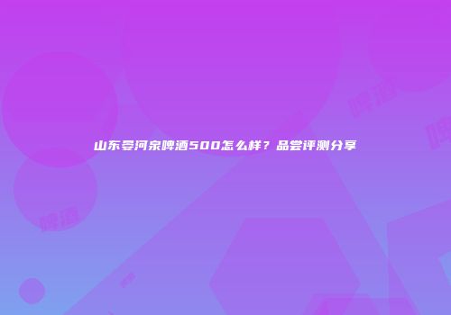 山东晏河泉啤酒500怎么样？品尝评测分享
