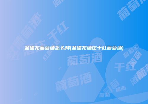 圣堡龙葡萄酒怎么样(圣堡龙酒庄干红葡萄酒)