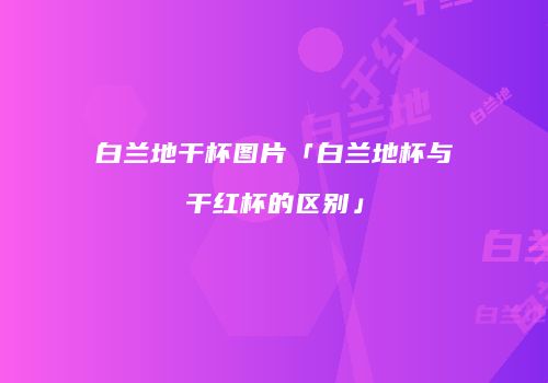 白兰地干杯图片「白兰地杯与干红杯的区别」