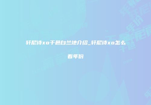 轩尼诗xo干邑白兰地介绍_轩尼诗xo怎么看年份