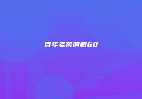 百年老窖洞藏60