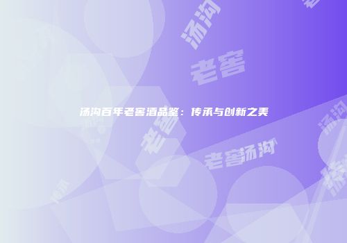 汤沟百年老窖酒品鉴：传承与创新之美