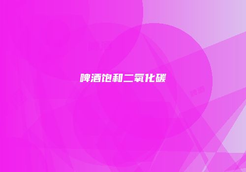 啤酒饱和二氧化碳
