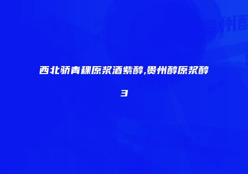西北骄青稞原浆酒紫醇,贵州醇原浆醇3