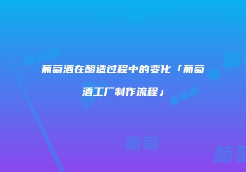 葡萄酒在酿造过程中的变化「葡萄酒工厂制作流程」