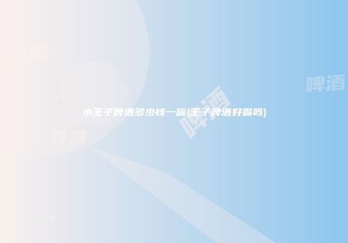 小王子啤酒多少钱一罐(王子啤酒好喝吗)