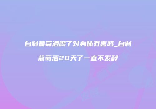 自制葡萄酒喝了对身体有害吗_自制葡萄酒20天了一直不发酵