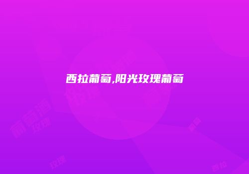 西拉葡萄,阳光玫瑰葡萄