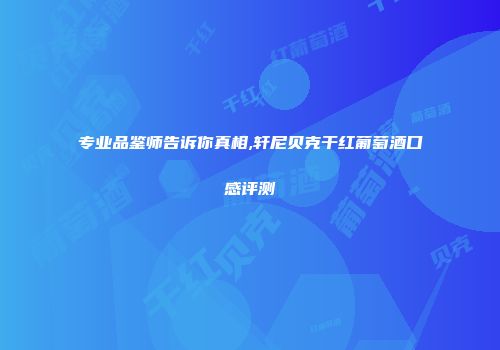 专业品鉴师告诉你真相,轩尼贝克干红葡萄酒口感评测