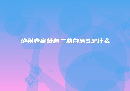 泸州老窖精制二曲白酒5是什么