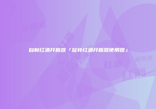 自制红酒开瓶器「旋转红酒开瓶器使用图」