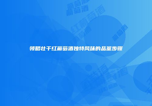 领略壮干红葡萄酒独特风味的品鉴步骤