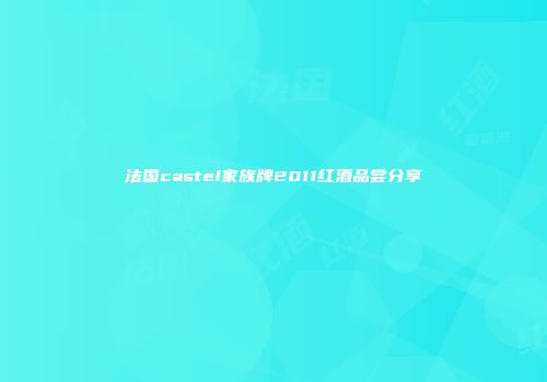 法国castel家族牌2011红酒品尝分享