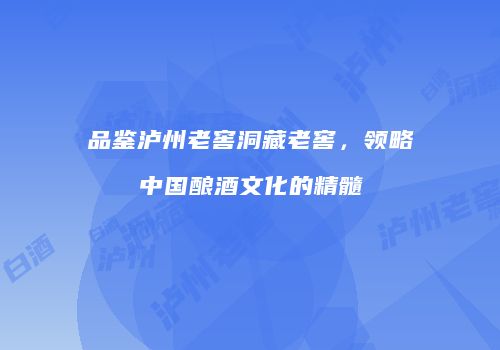 品鉴泸州老窖洞藏老窖，领略中国酿酒文化的精髓