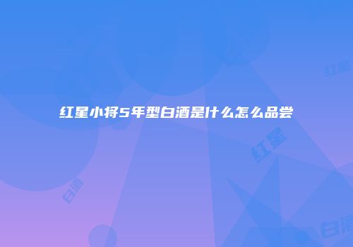 红星小将5年型白酒是什么怎么品尝