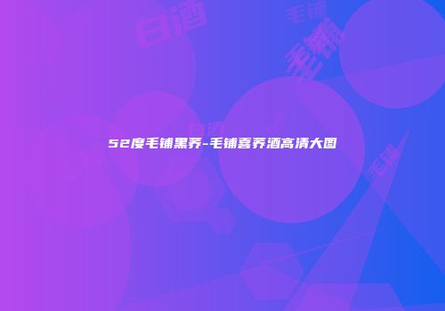52度毛铺黑荞-毛铺喜荞酒高清大图