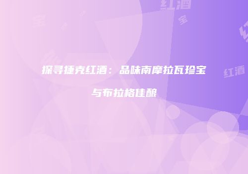 探寻捷克红酒：品味南摩拉瓦珍宝与布拉格佳酿