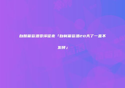 自酿葡萄酒变坏征兆「自制葡萄酒20天了一直不发酵」
