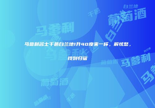 马爹利名士干邑白兰地1升40度来一杯，解忧愁，找到归宿