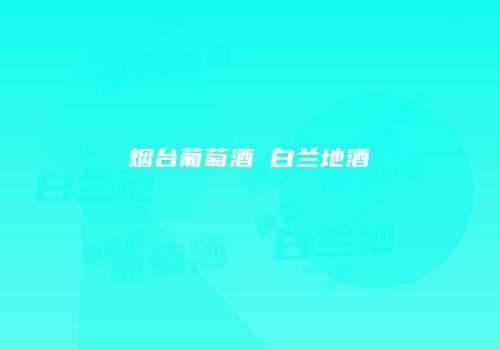 烟台葡萄酒 白兰地酒