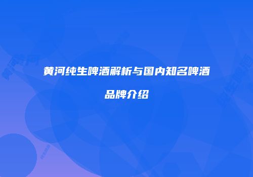 黄河纯生啤酒解析与国内知名啤酒品牌介绍
