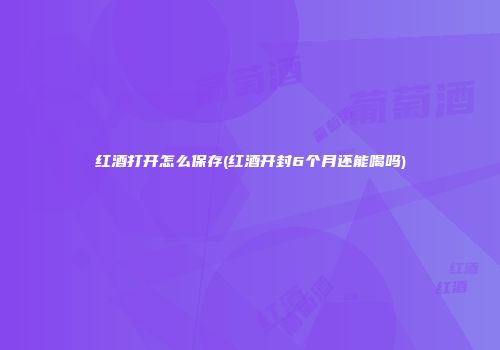 红酒打开怎么保存(红酒开封6个月还能喝吗)
