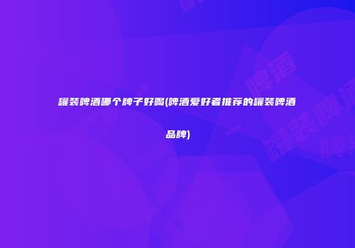 罐装啤酒哪个牌子好喝(啤酒爱好者推荐的罐装啤酒品牌)