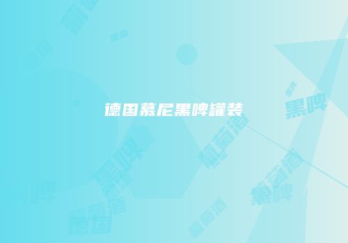 德国慕尼黑啤罐装