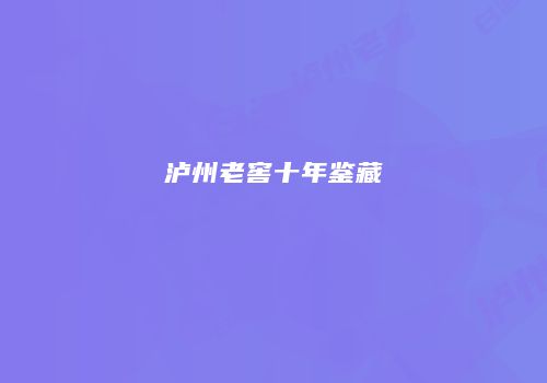 泸州老窖十年鉴藏