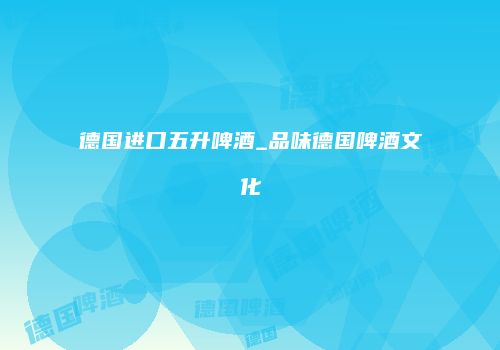 德国进口五升啤酒_品味德国啤酒文化