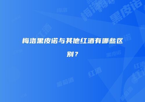 梅洛黑皮诺与其他红酒有哪些区别？