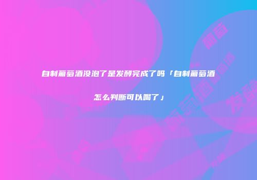 自制葡萄酒没泡了是发酵完成了吗「自制葡萄酒怎么判断可以喝了」