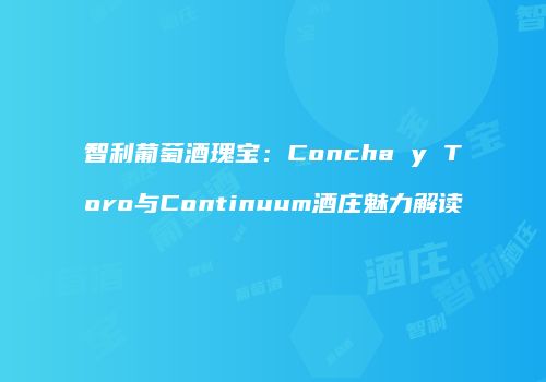 智利葡萄酒瑰宝：Concha y Toro与Continuum酒庄魅力解读
